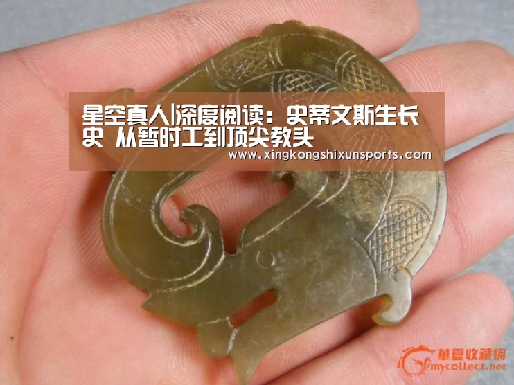 星空真人|深度阅读:史蒂文斯生长史 从暂时工到顶尖教头(图4) 星空体育